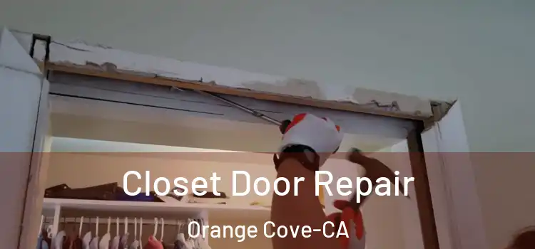  Closet Door Repair Orange Cove-CA