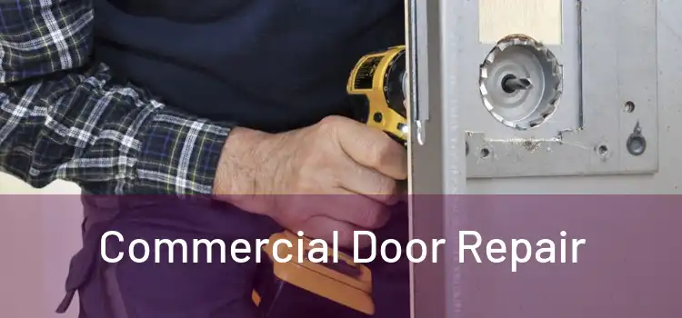  Commercial Door Repair 