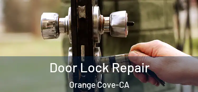  Door Lock Repair Orange Cove-CA
