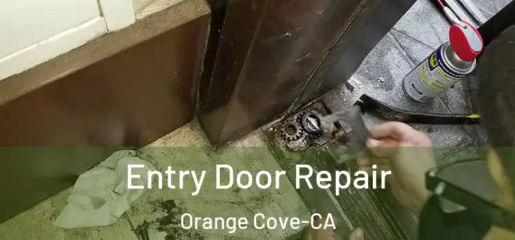  Entry Door Repair Orange Cove-CA