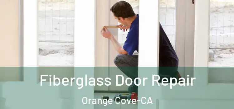  Fiberglass Door Repair Orange Cove-CA