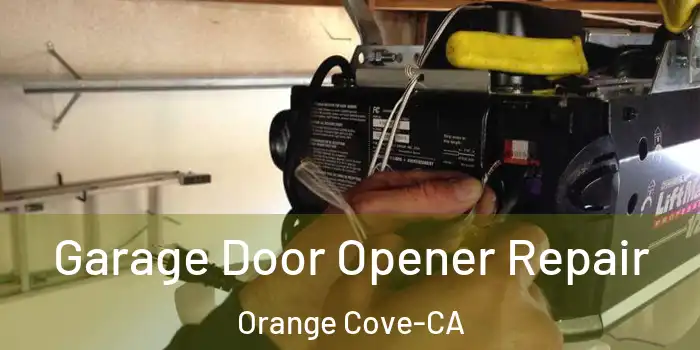  Garage Door Opener Repair Orange Cove-CA