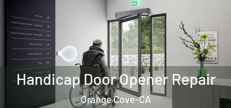  Handicap Door Opener Repair Orange Cove-CA