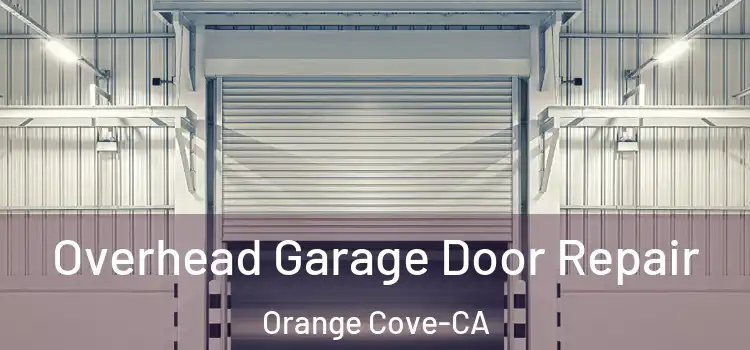  Overhead Garage Door Repair Orange Cove-CA